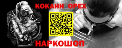 крисы Пенза