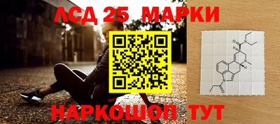 крисы Пенза