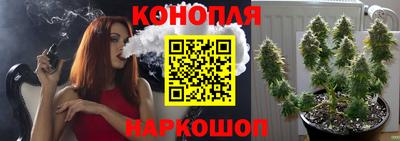 apvp Пушкино