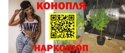 крисы Пенза