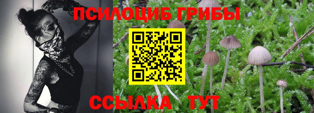 Псилоцибиновые грибы Cubensis  Вход с VPN  Псилоцибиновые грибы Psilocybine cubensis  Спасск-Дальний 
